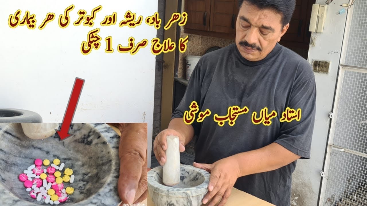 Kabootro main Zehar baad aur Har bemari ka ilaj sirf 1 powder | Ustad Mian Mustajab Moshi