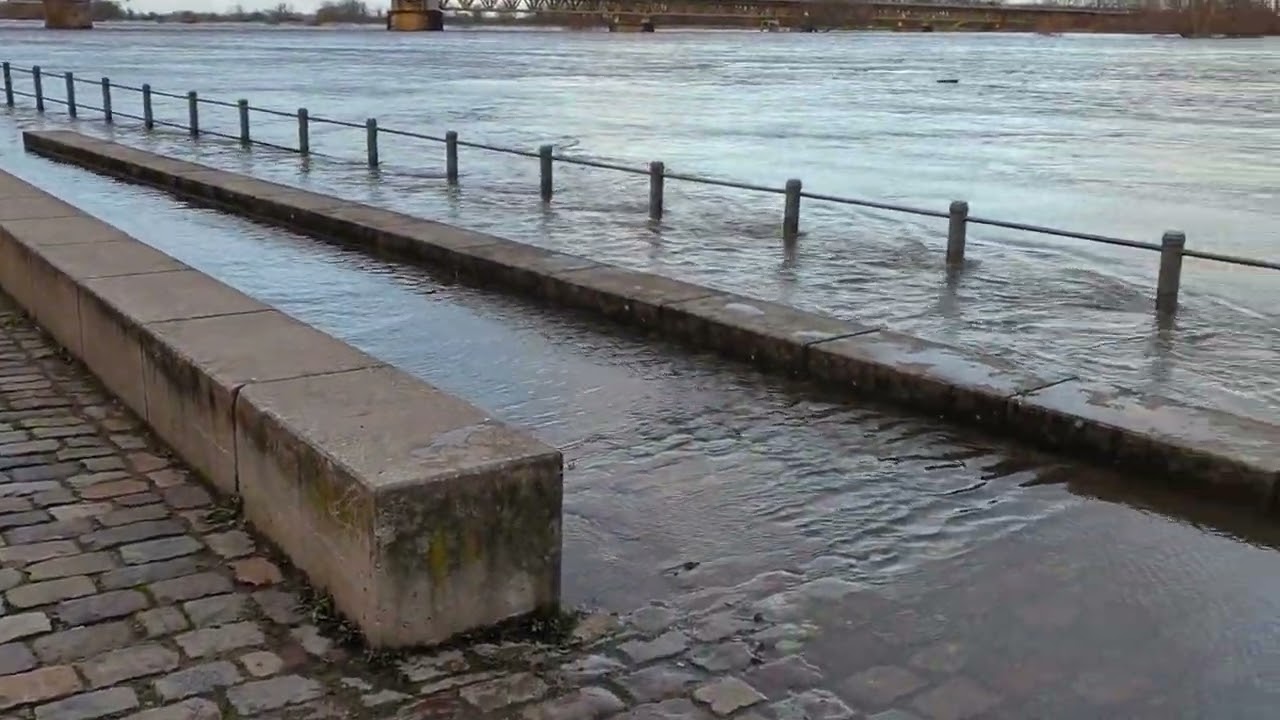 Hochwasser in Schönebeck - wie Sturmtief Zoltan Deutschland zu schaffen macht