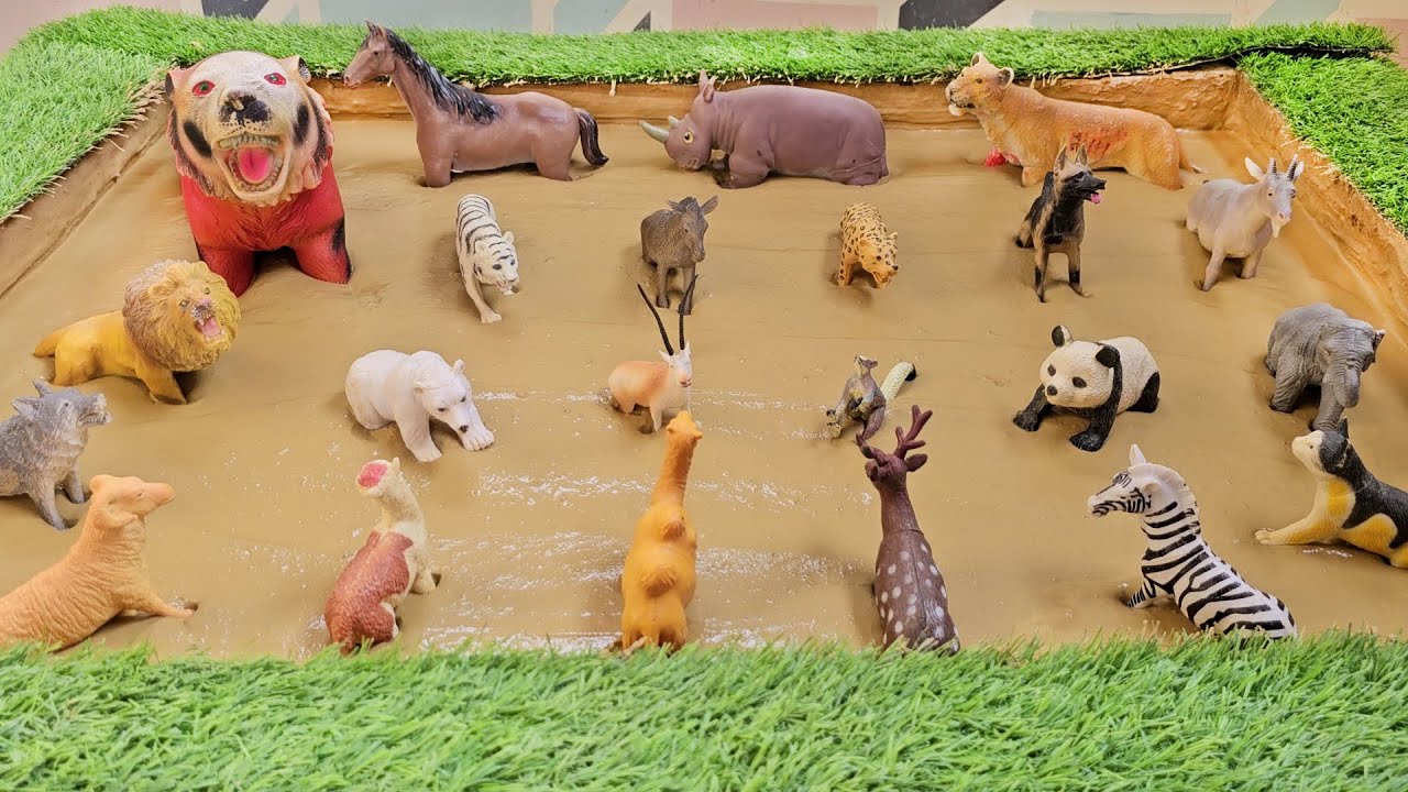 Hungry Animals: The Tasty World of Carnivores and Herbivores Animals!