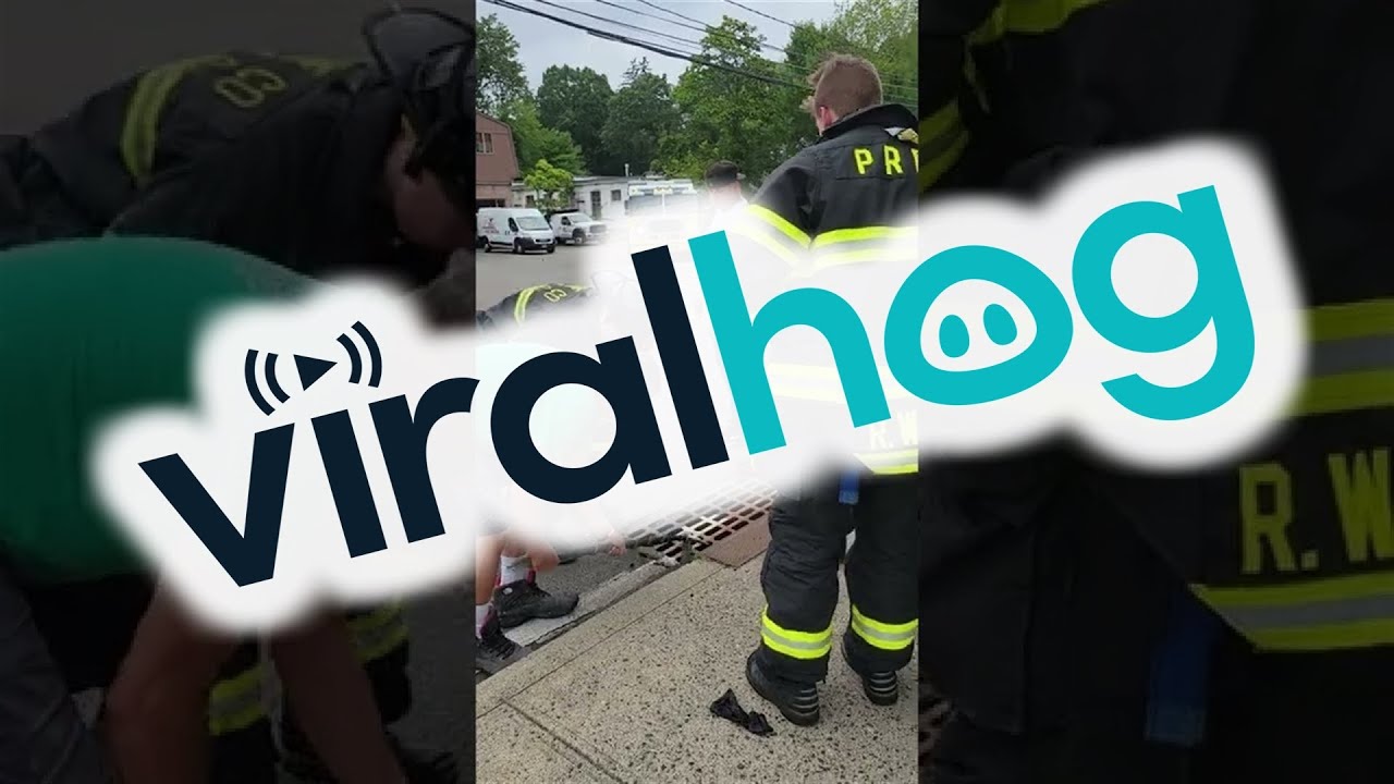 Kind People and Fire Department Rescue Kitten in Street Gutter || ViralHog