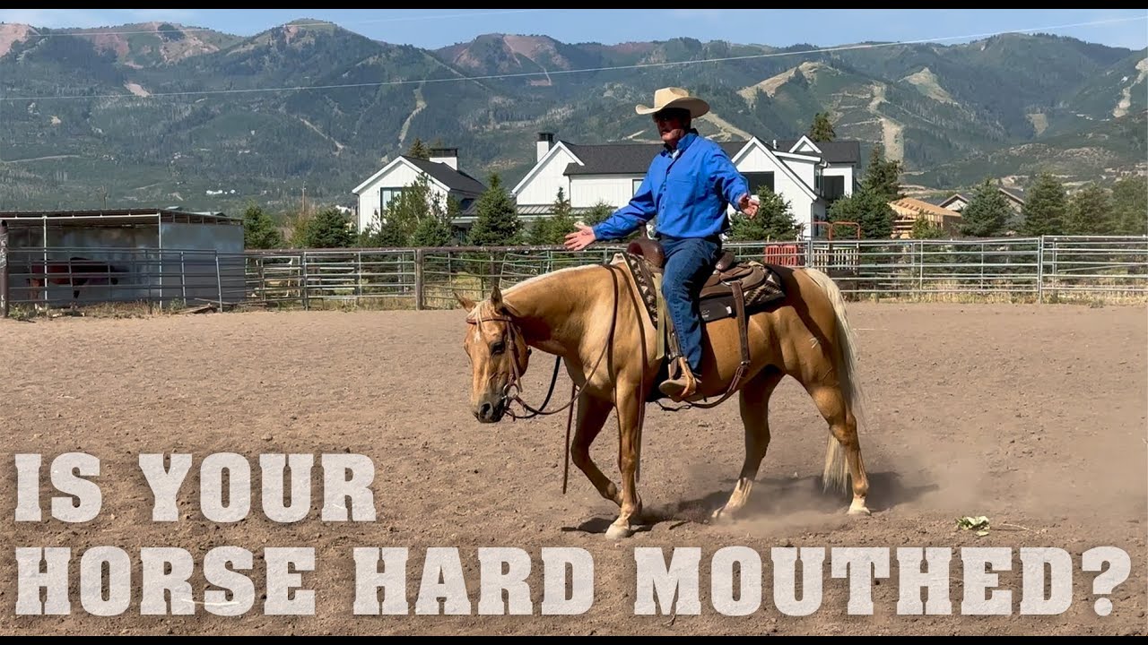 Is Your Horse Hard Mouthed?