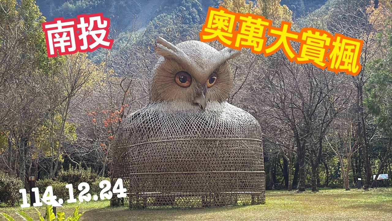 南投｜奧萬大國家森林遊樂區｜賞楓｜落羽松