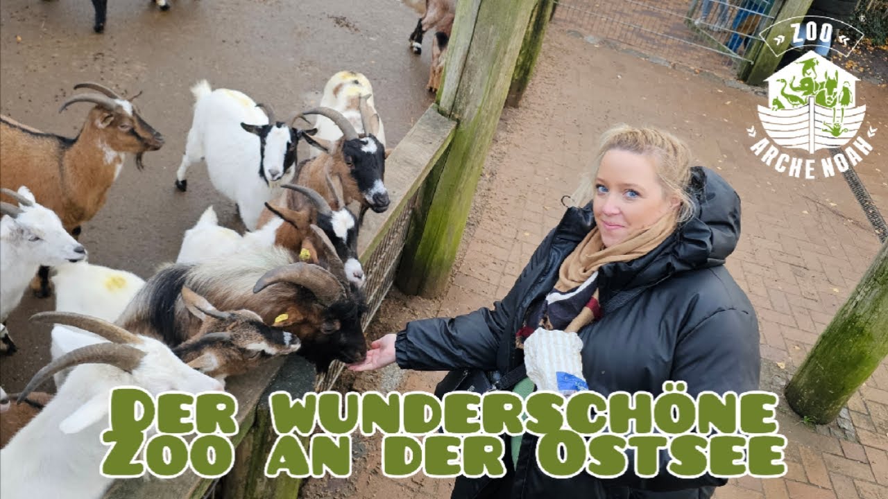 Zoo Arche Noah Grömitz - Der wunderschöne Zoo direkt an der Ostsee - Vlog