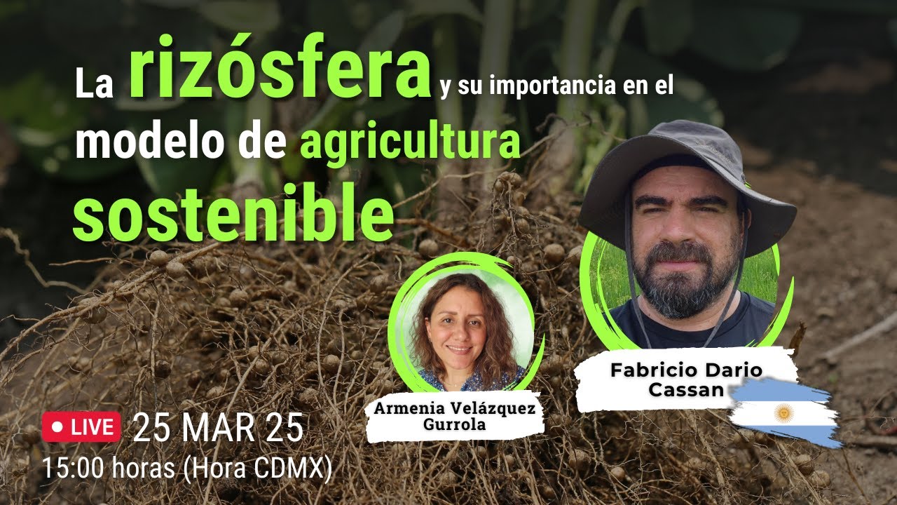 La rizósfera y su importancia en el modelo de agricultura sostenible