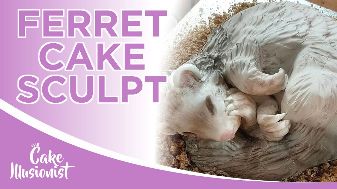 Curled up Ferret Cake | The Cake Illusionist LIVE