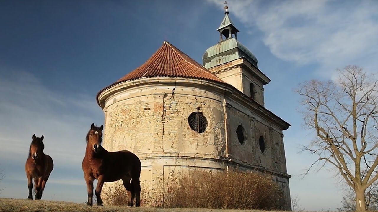 LOLA - Divoký koně (official video)
