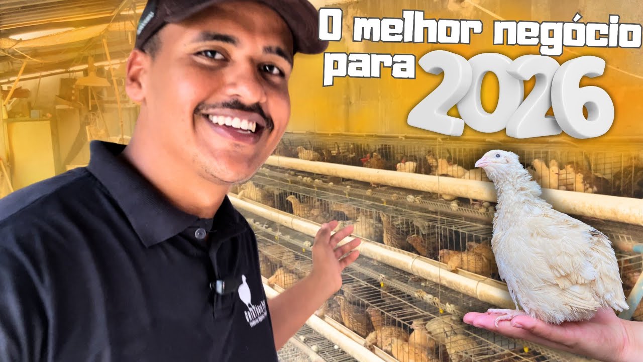 Transforme a CRIAÇÃO DE CODORNAS EM RENDA em 2026