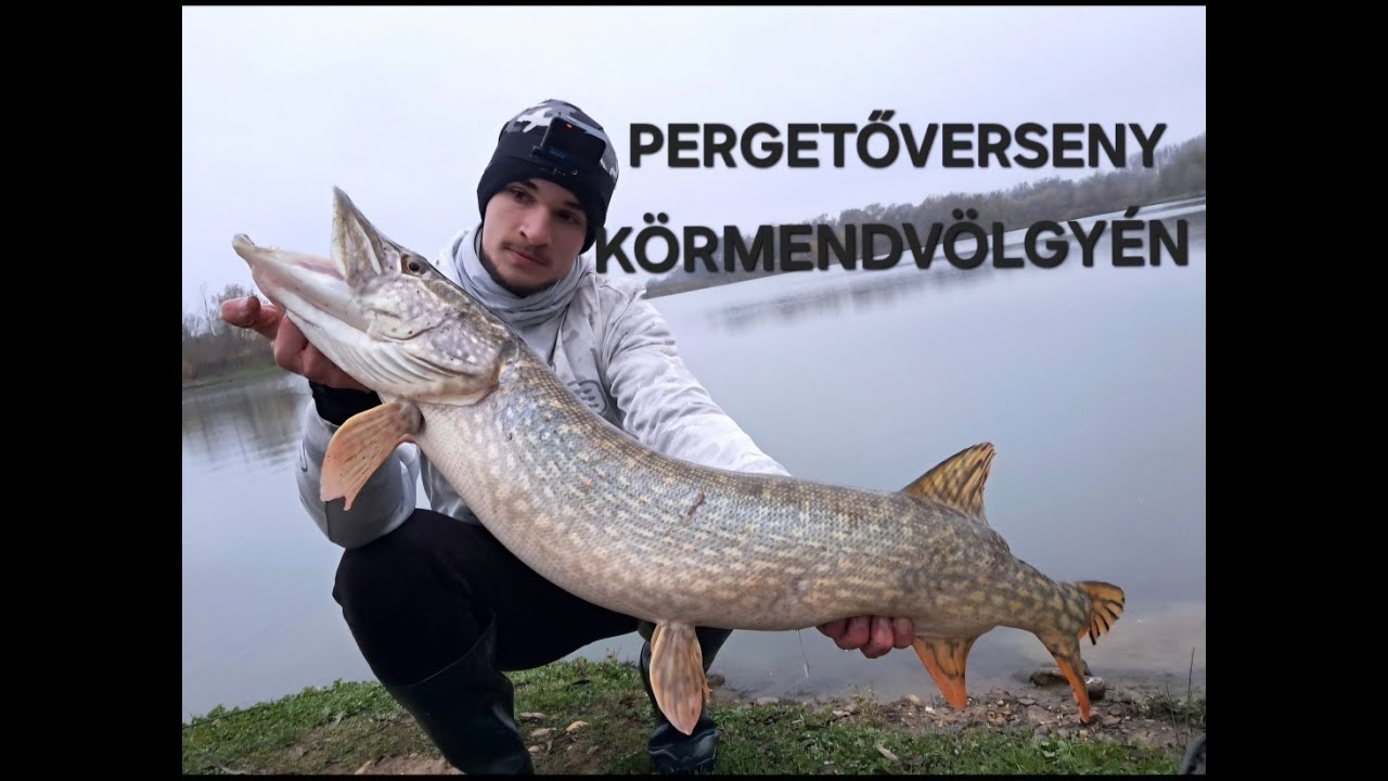 Pergetőverseny a körmendvölgye kavicsbányatavon
