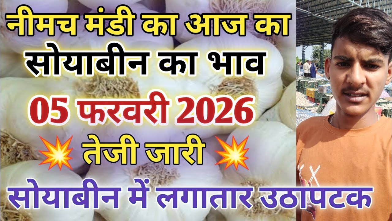 नीमच मंडी सोयाबीन भाव में तेजी Neemuch Mandi Aaj Ka bhav। Garlic rete ka bhav 05 फरवरी 2026