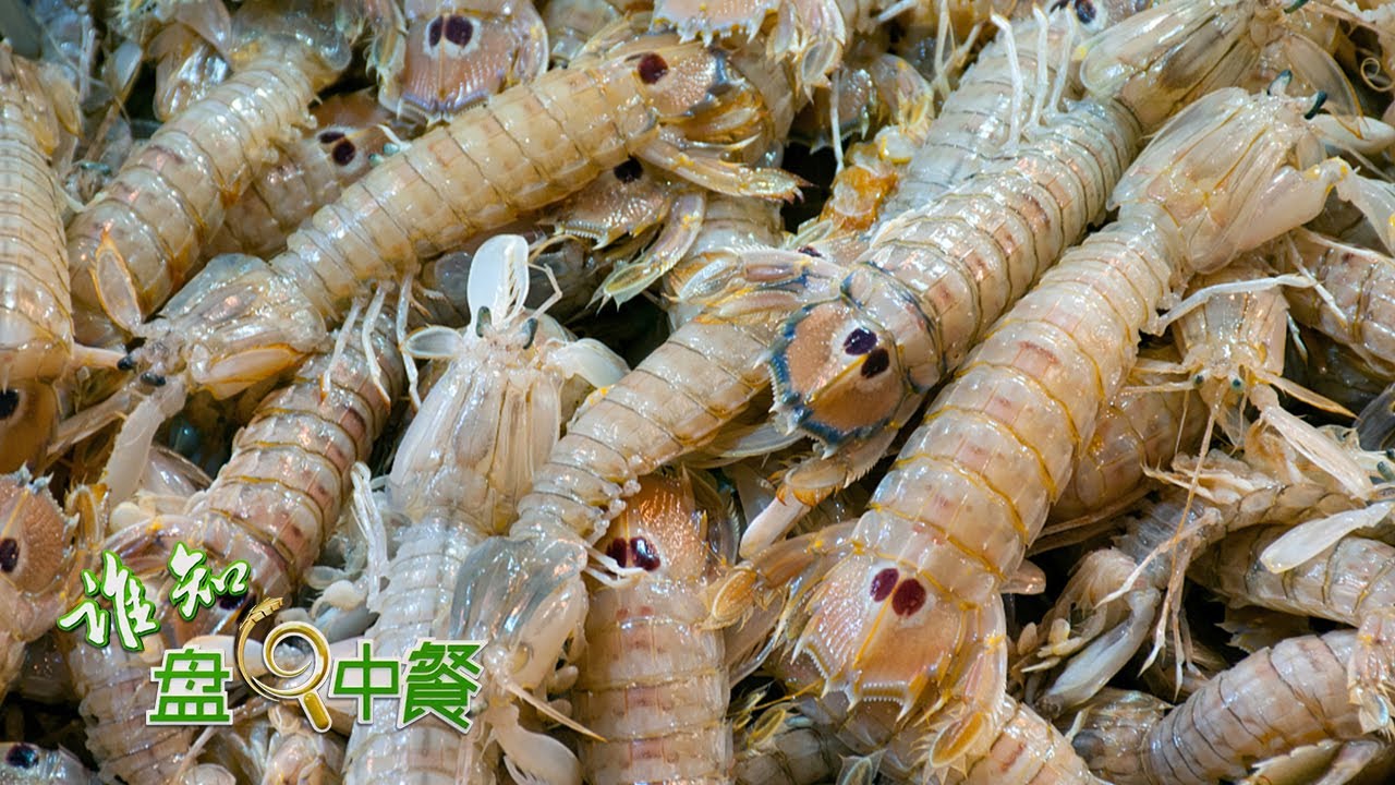 皮皮虾养殖有了“黑科技”！水循环系统解决保鲜难题，助力渔民增收致富！| 「谁知盘中餐」20220608