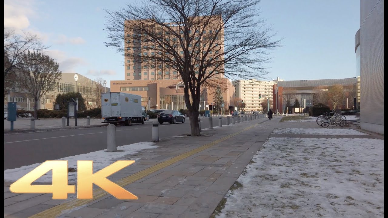 Walking in Obihiro（帯広） City, Hokkaido【4K】