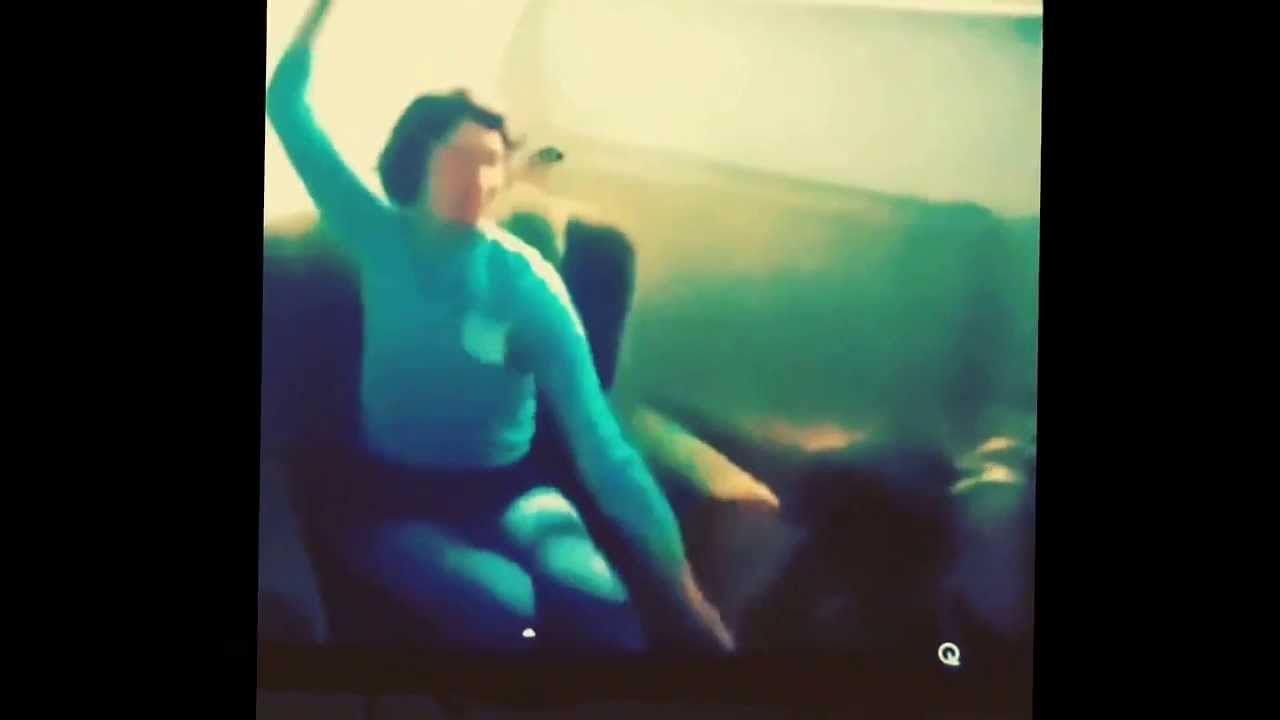 Dogs reaction to the German shark song!