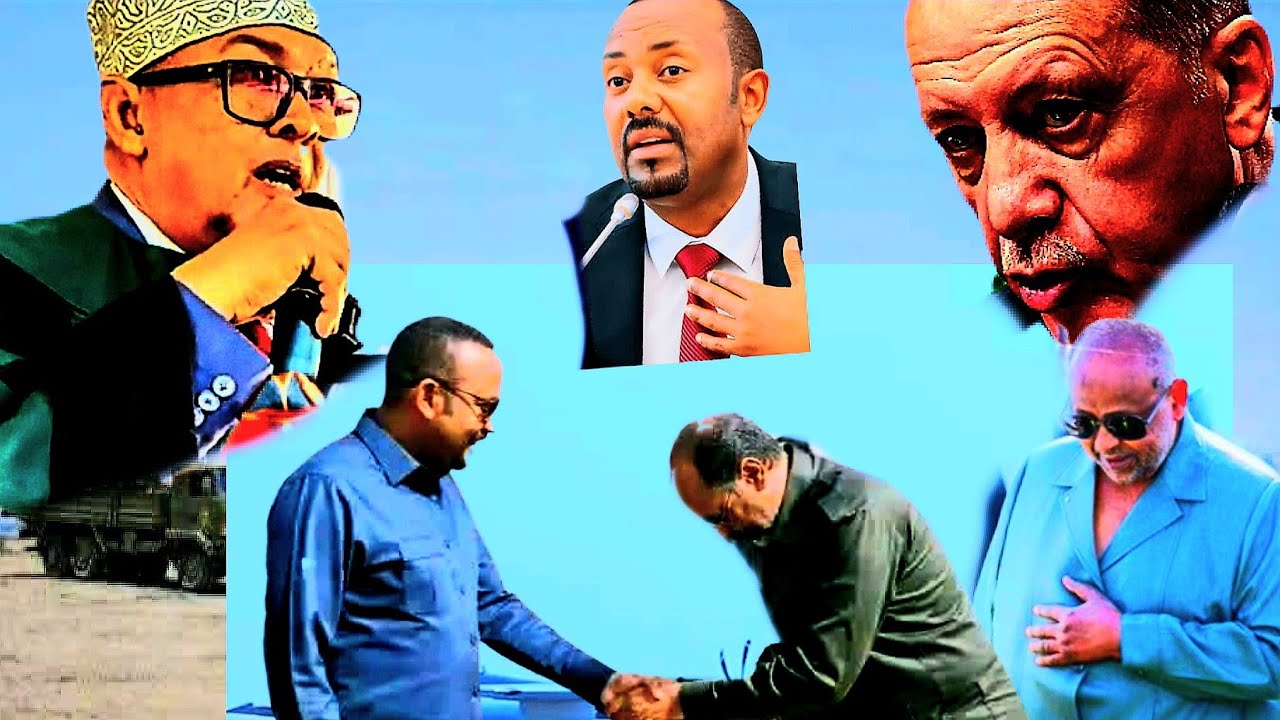 Ciro Sheegy Diidy Ka QaybGalo Shirka Itoobya Jabuti Somlia Wa Shirqool Laygu Bahdilyo Aqoonsiga