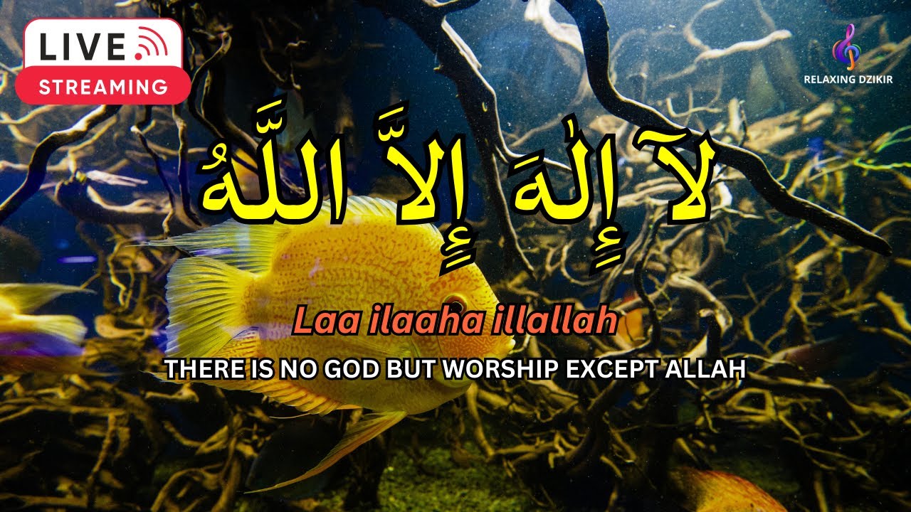 LAILAHAILLALLAH: Sleep Dzikir For Reduce stress #23