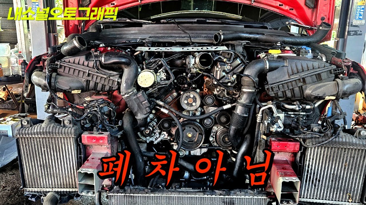 살리면 다 죽었스...
