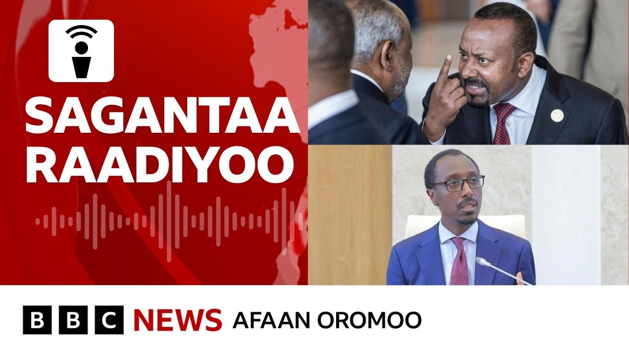 Itoophiyaan dorgommii  UAE fi Sa'udii gidduutti rakkoo seenaa jirtii?| BBC News Afaan Oromoo