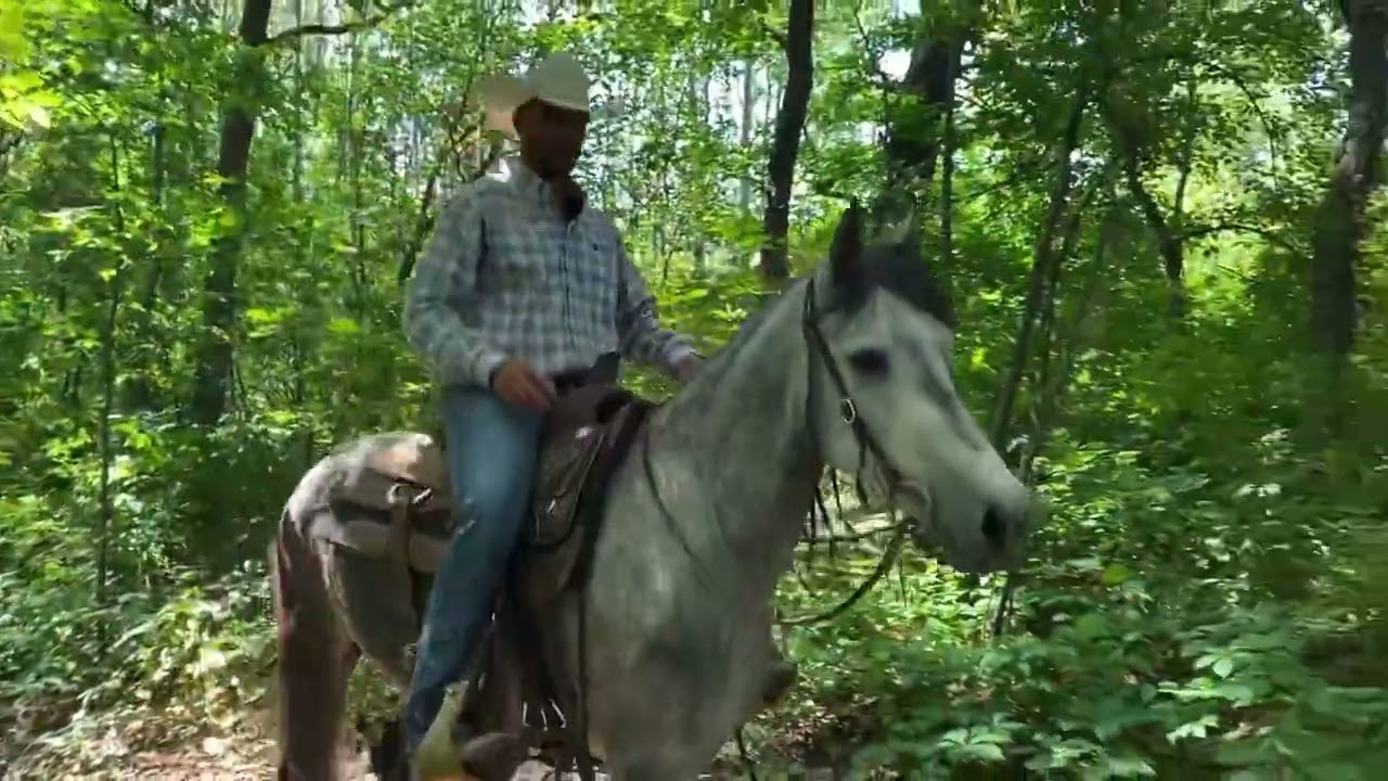 Part 2 : Trail Training- How to have a successful first trail ride