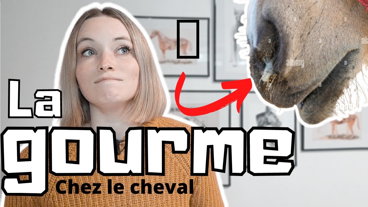 LA GOURME - on parle de morve et de jeunes hommes 🔞