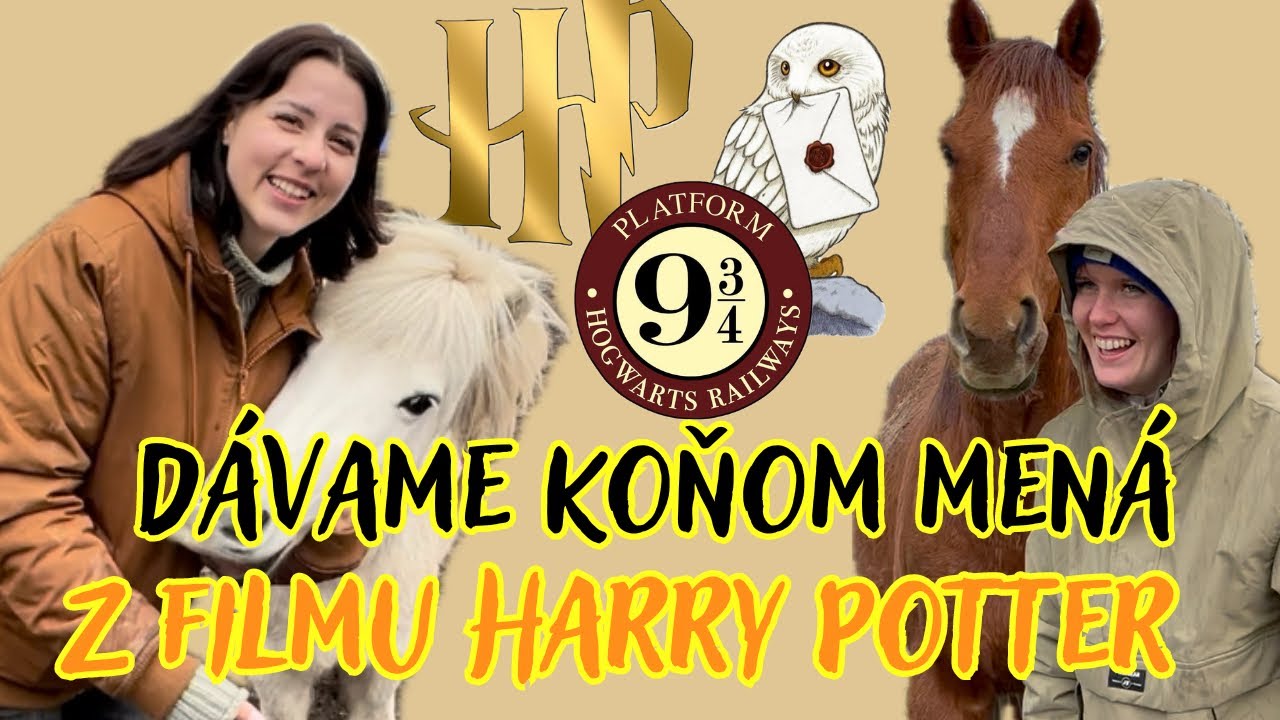 Konské postavy z Harryho Pottera 🪄
