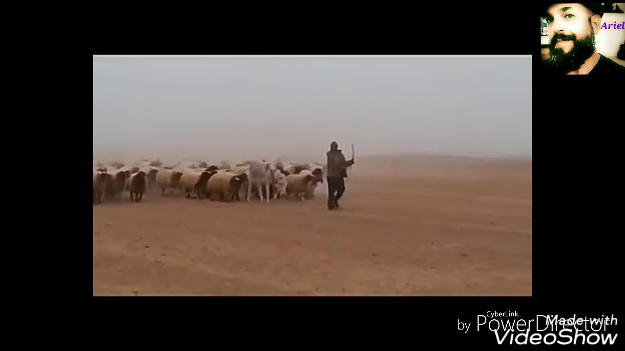 צבא האמת של ישראל מהאח הגדול