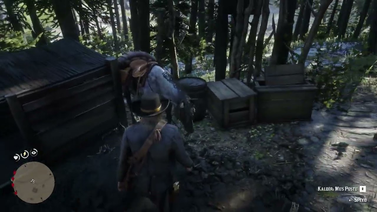 Red Dead Redemption 2 Cadı Ve Yırtık Define haritası Bulma