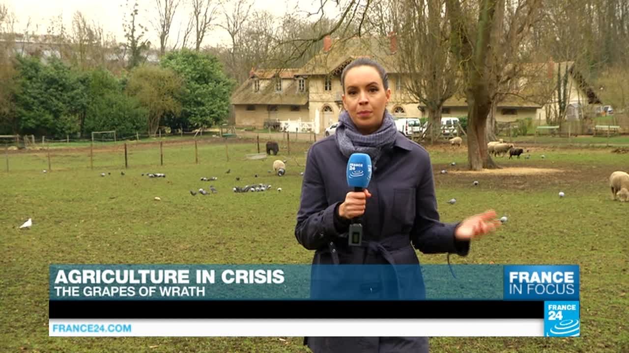Agriculture in crisis: The grapes of wrath