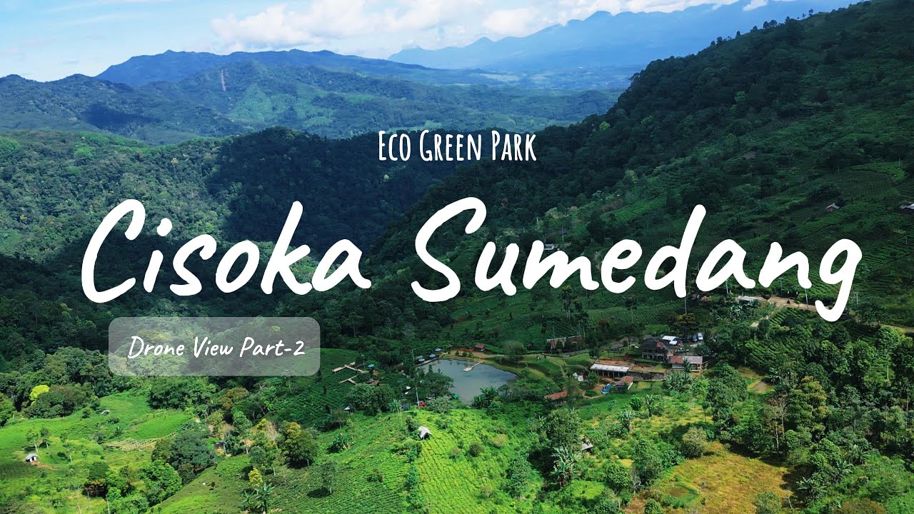 Apa yang Membuat Perkebunan Teh Cisoka Sumedang Begitu ISTIMEWA?
