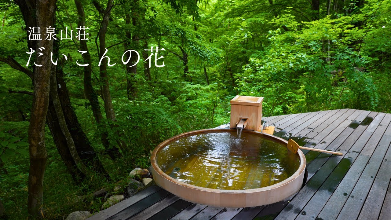 【温泉旅館宿泊記】温泉山荘だいこんの花｜雨の日も楽しめる森の中の温泉宿