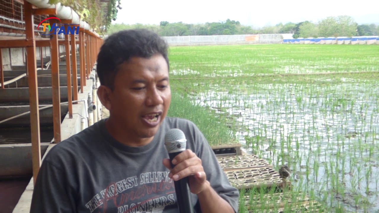 Tani Ternak Terpadu Tanpa Bau