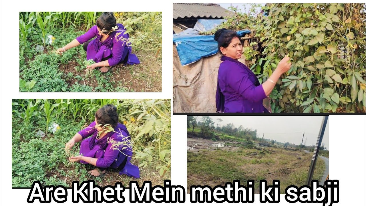 Hamare gaon chale khet mein methi ki sabji todne ki