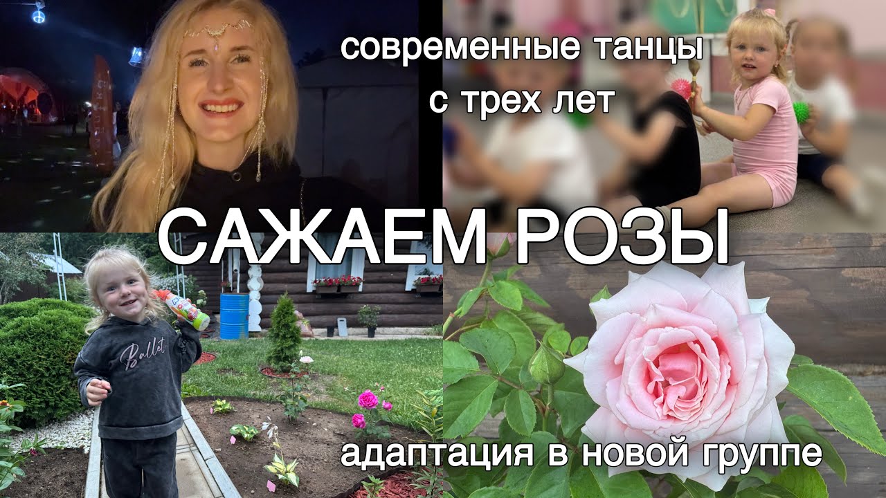 СКУПИЛА РОЗЫ🌹 АДАПТАЦИЯ В ДЕТСКОМ САДУ🛝 НА ТАНЦЫ 3+