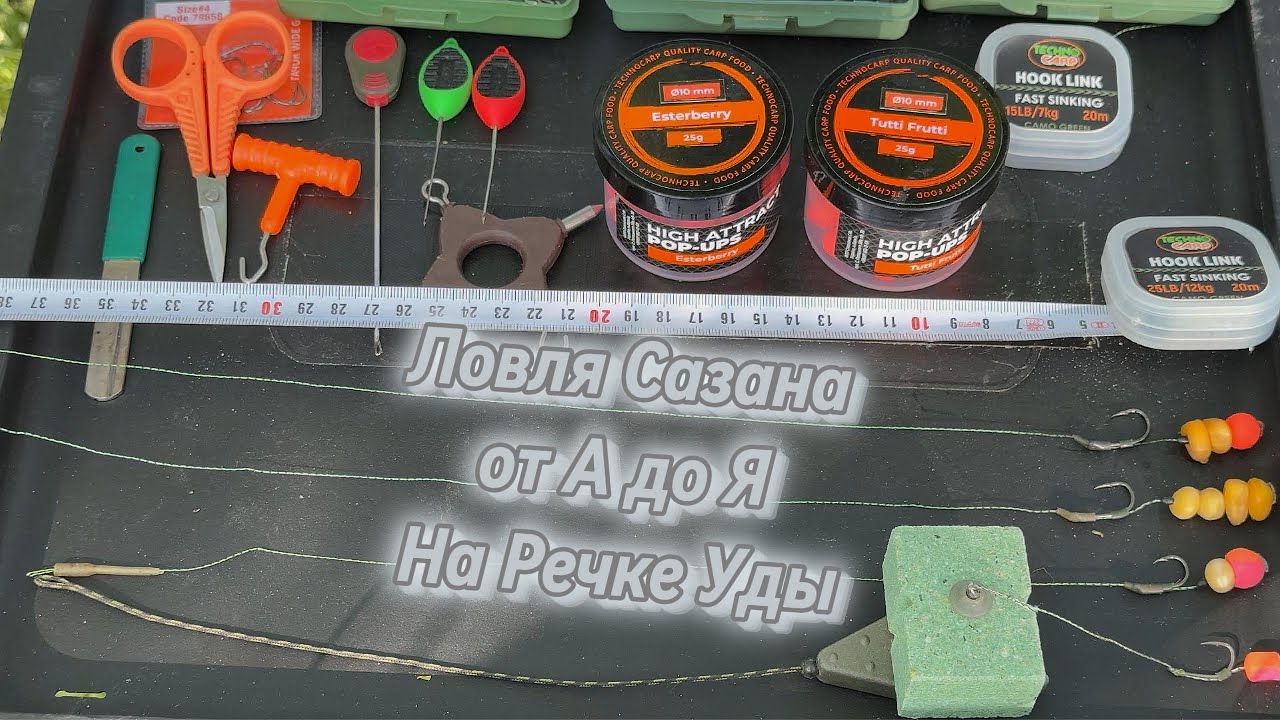 Ловля Сазана от А до Я на реке Уды