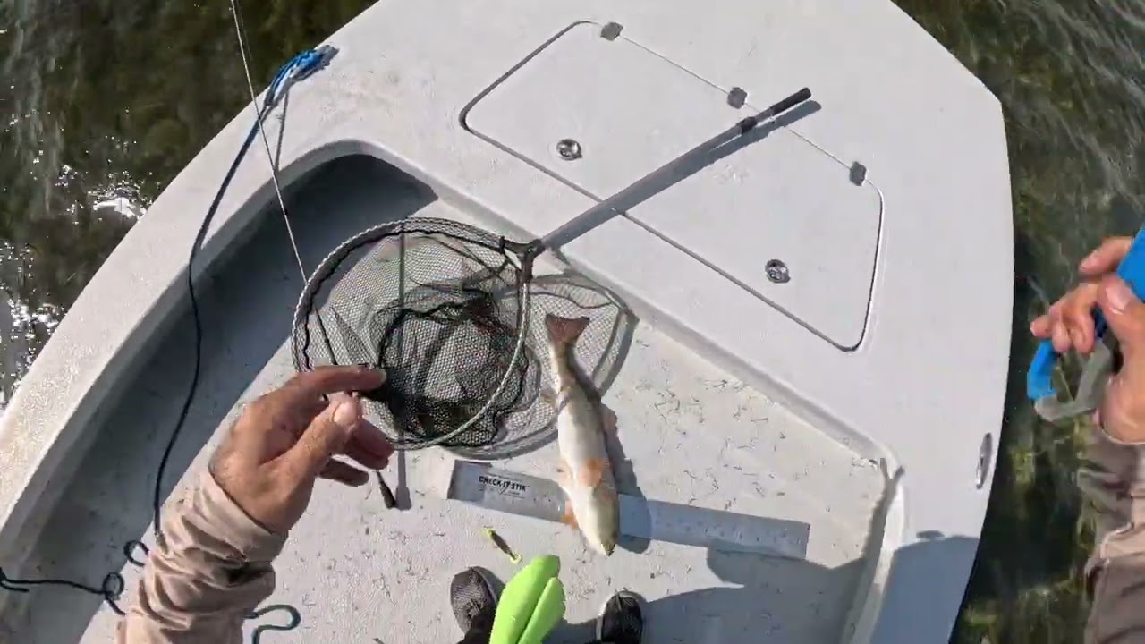 Jan 23rd 2026, fishing before the artic blast! South Padre..