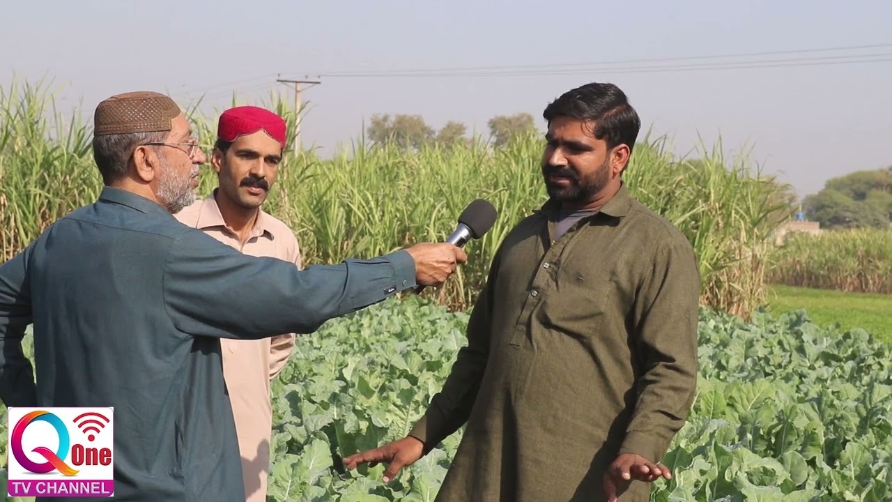 Khanpur Ky Kisaan Ky Masail | Farmer Problems | Part 1 | Q One TV
