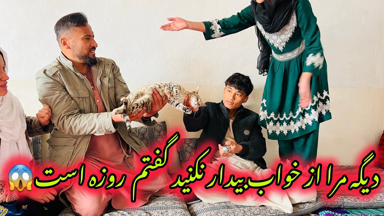 «قالین‌شویی ساده شروع شد… اما وقتی سلطانی ره آوردیم، همه چیز خنده‌دار شد! 😂