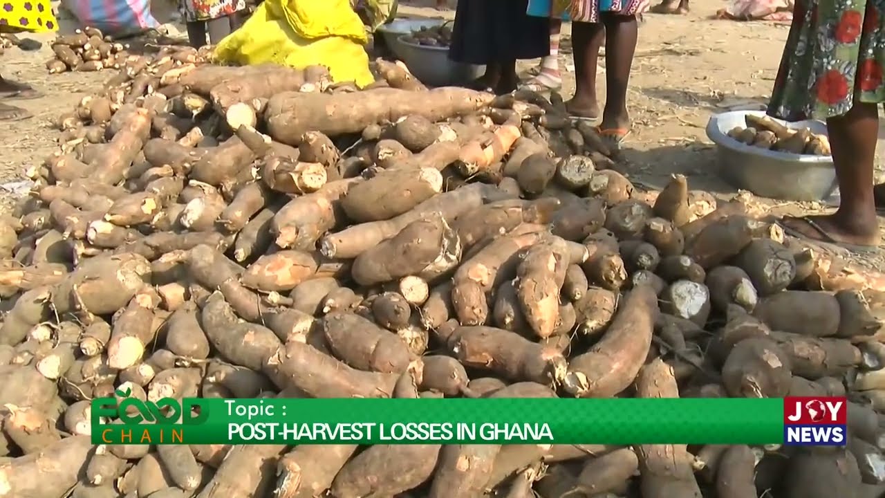 Food Chain (7-7-23) || Post-Harvest losses in Ghana