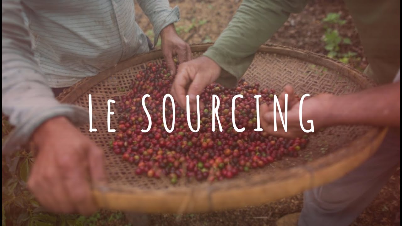 Le sourcing de café chez Javry