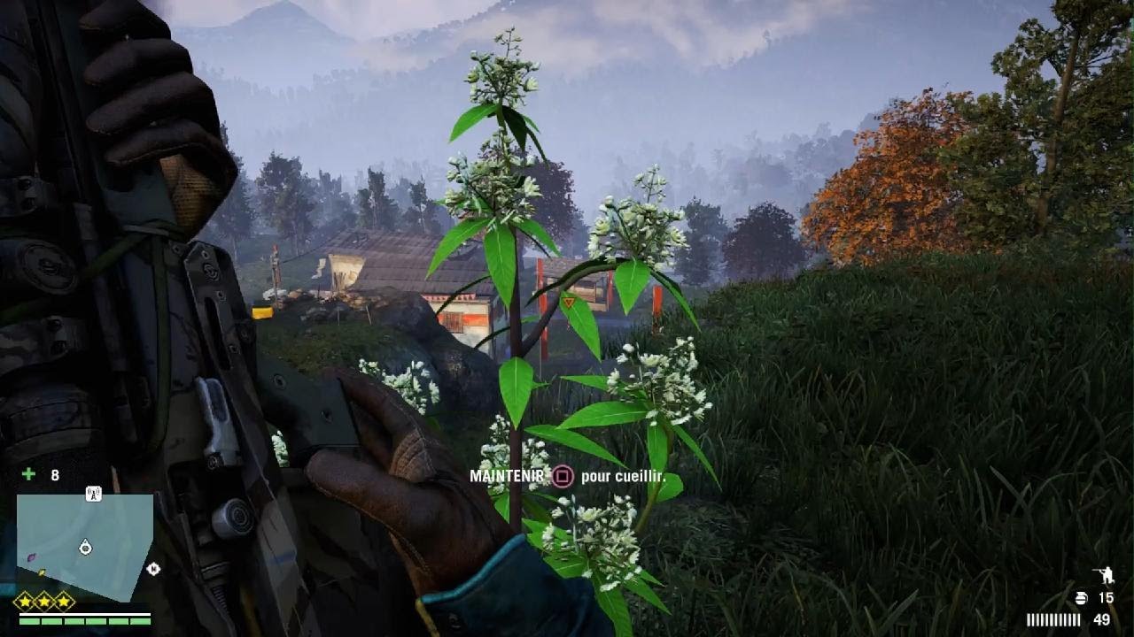 Good stealth job