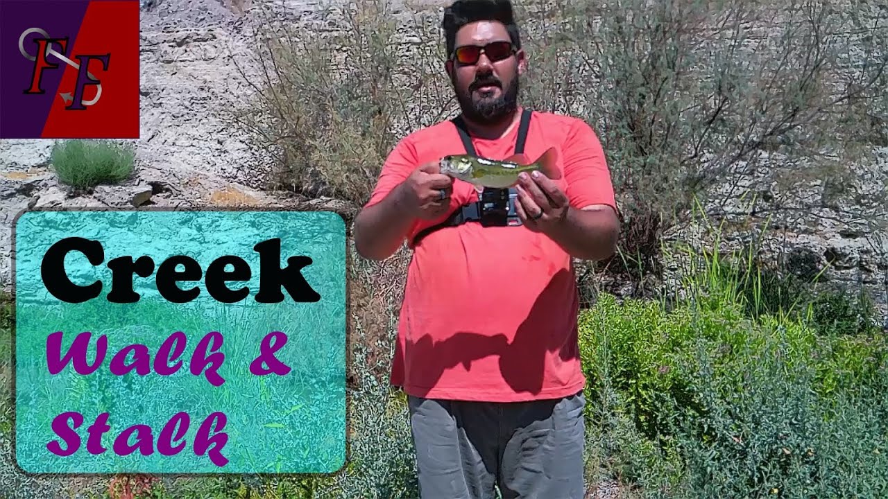 Fish hunt at Lava Butte -Lake Mead