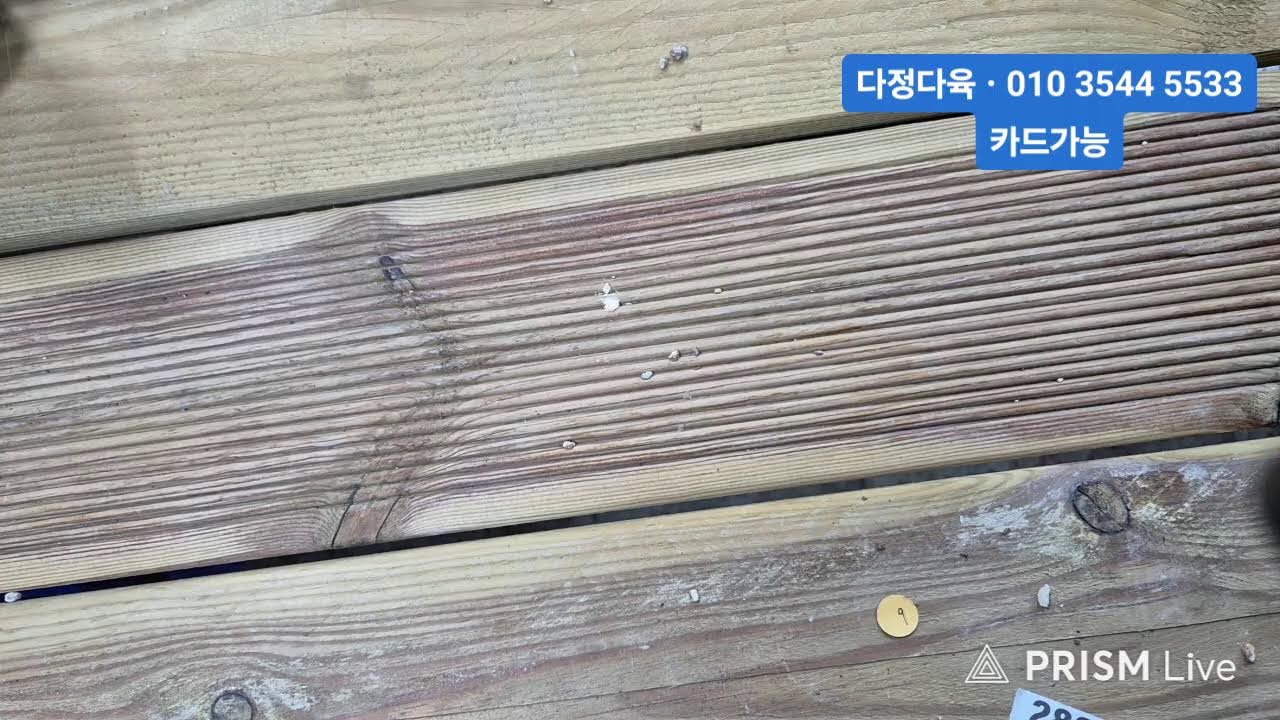 다정다육 라이브 방송