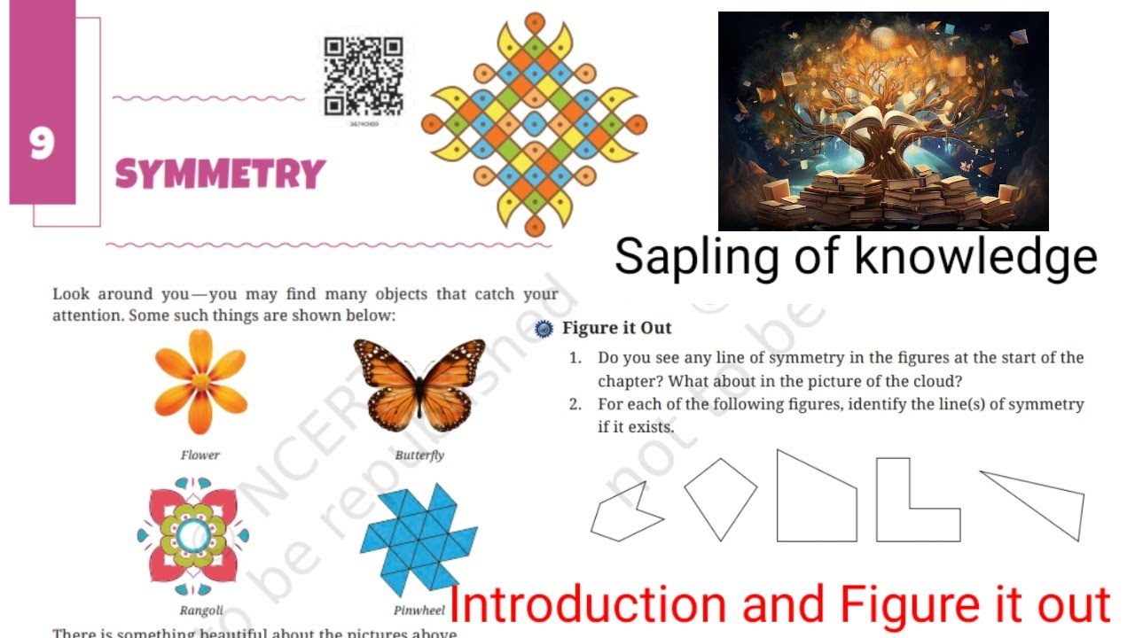 Symmetry || chapter 9 || class 6th || Ganita Prakash || Line of symmetry||