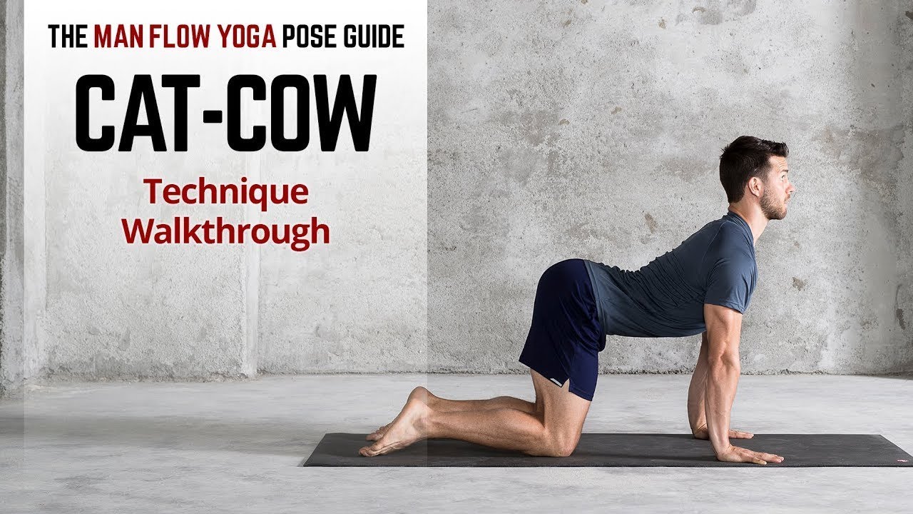 Cat Cow Pose Basics | Get the Alignment Right