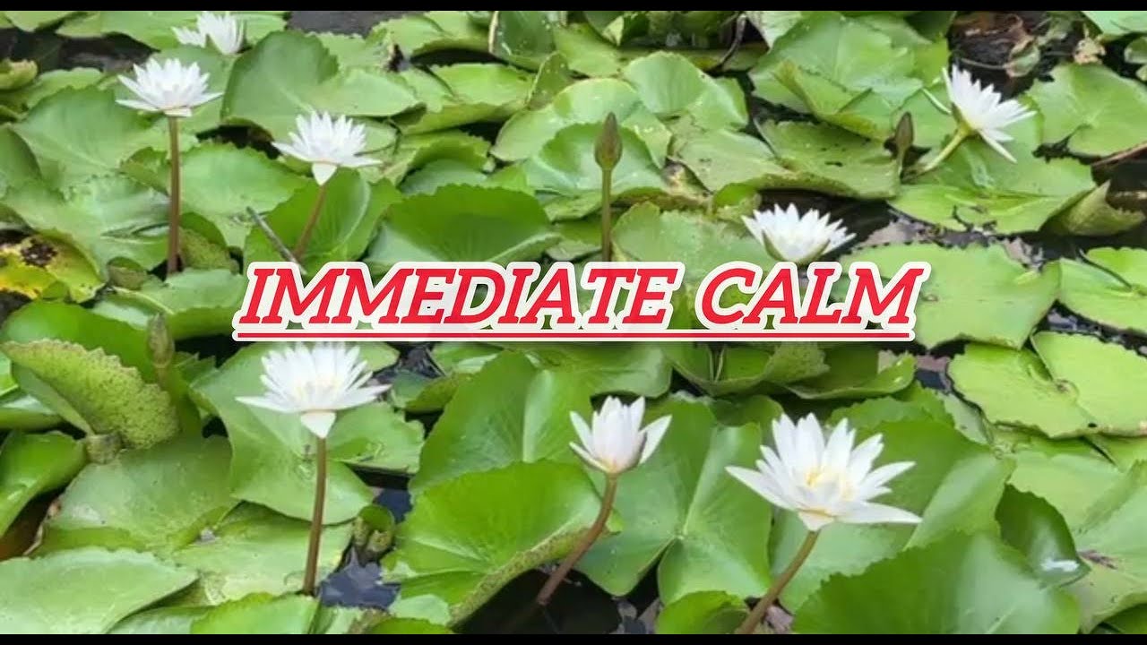 IMMEDIATE CALM 🌊 432Hz Healing Music for Stress & Anxiety Relief