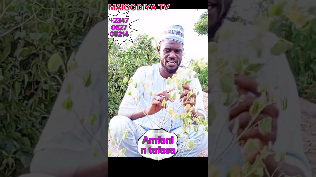 Amfanin yanyen tafasa