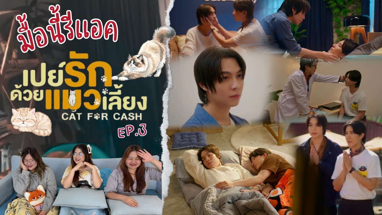 มื้อนี้รีแอค EP.675 | Reaction เปย์รักด้วยแมวเลี้ยง ( Cat For Cash ) EP.3