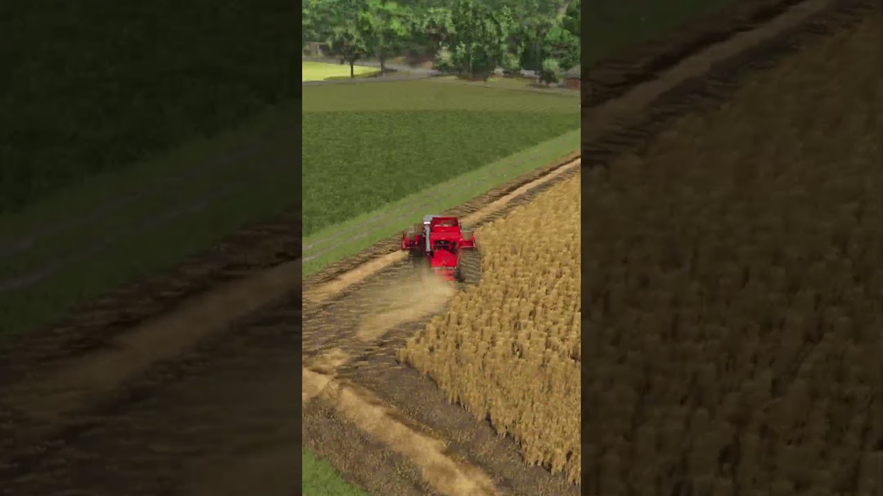 Oat harvest |  Farming Simulator 25