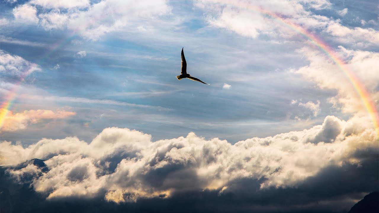 Flying: Relaxing Sleep Music, Deep relaxation Music, Relaxing Music, Stress Relief, Meditation Music