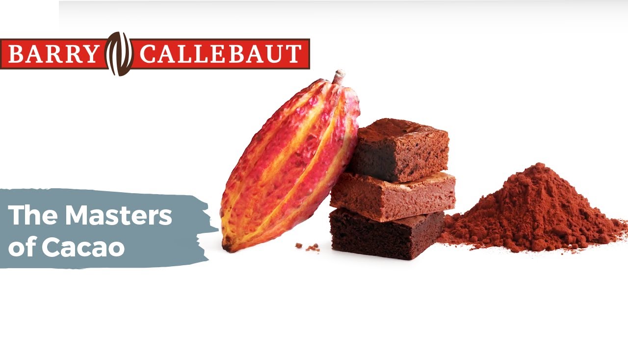 Crafting the Finest Cocoa Powders | Bensdorp | Barry Callebaut