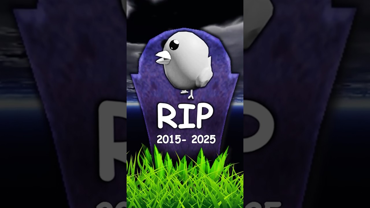 The best roblox promo-code item EXPIRED after 10 years...