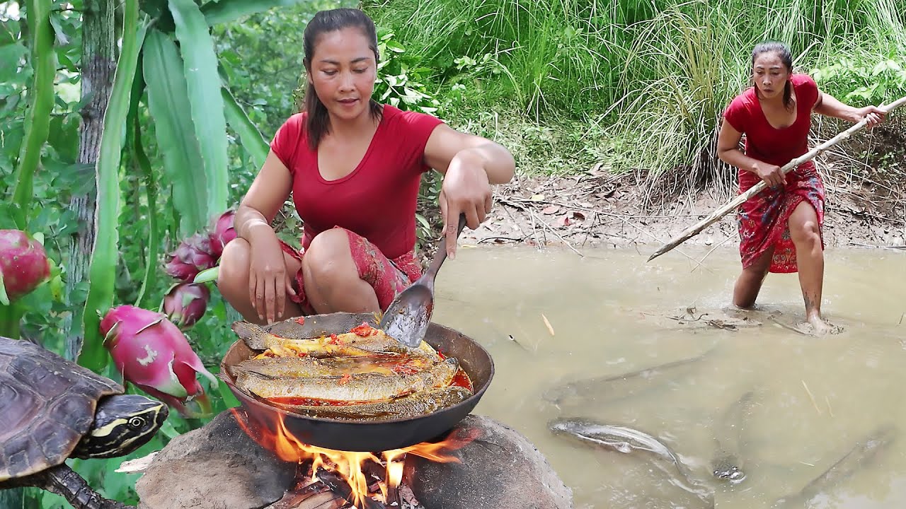 Catch fish in mud for food, Fish curry for survival food, Natural dragon fruit for snack, +4 videos